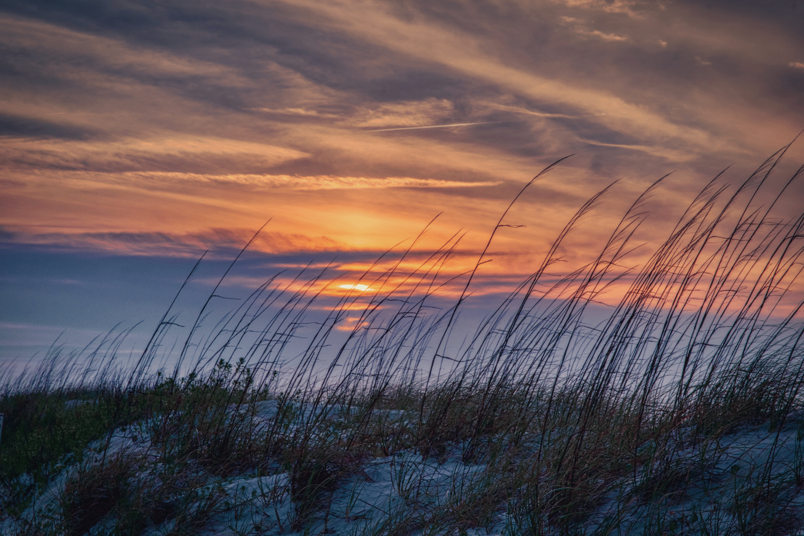 beach sunset