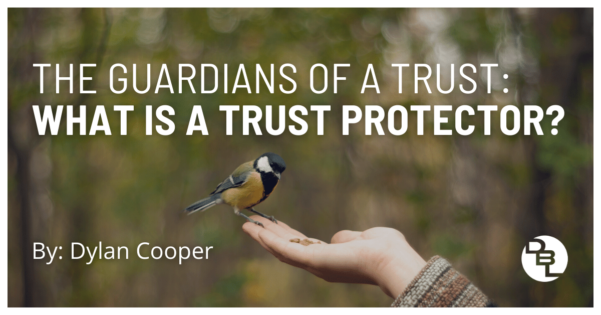The Guardians of a Trust: What is a Trust Protector?