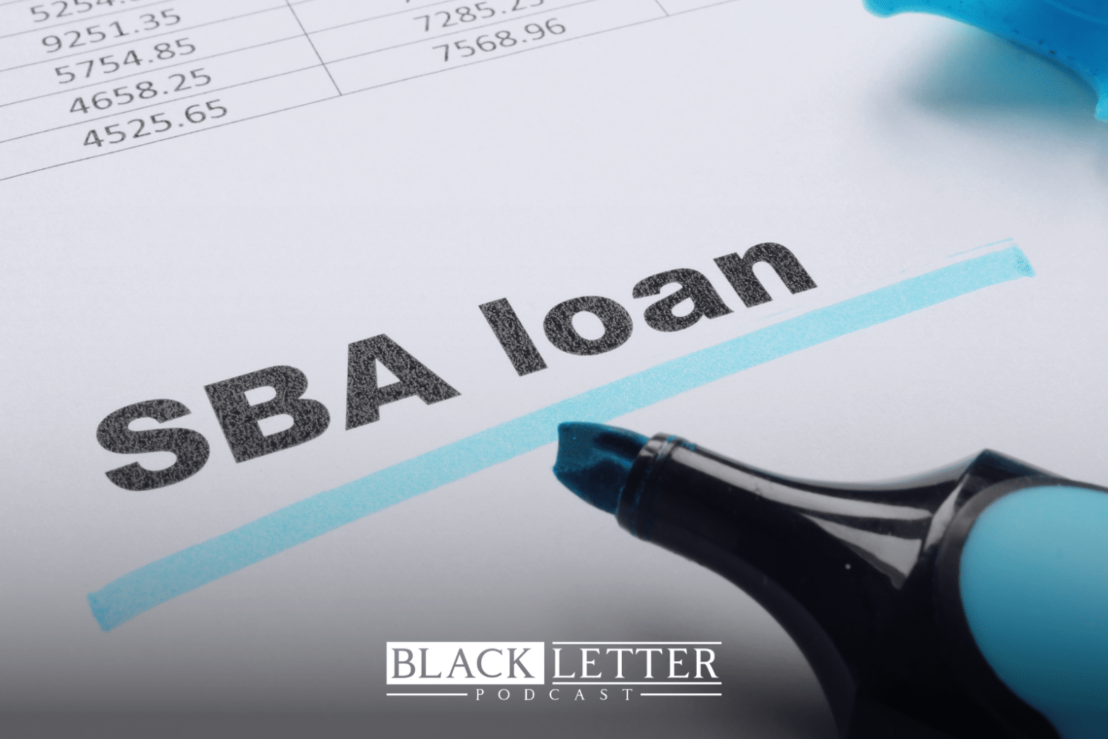 S12E1 SBA Loan & Business Banking Insights with M&T Bank